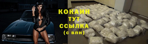 винт Бородино