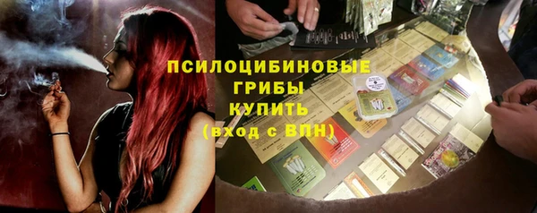 винт Бородино