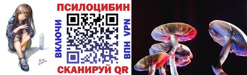 где найти   Бородино  Псилоцибиновые грибы мицелий 