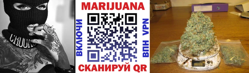 как найти закладки Бородино Канабис OG Kush